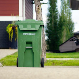 Recycling and Compost