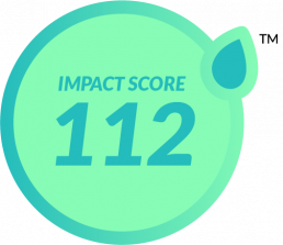 Sustainable Impact Score