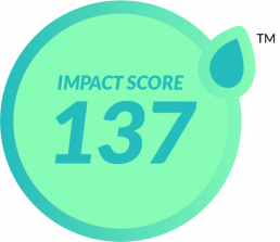 Sustainable Impact Score