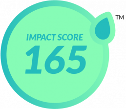 Sustainable Impact Score